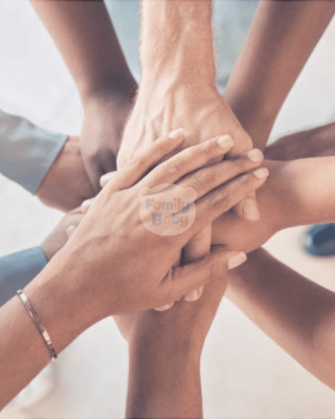 Guia > Nuestra primera colección > ¿Qué estamos construyendo? > Imagen